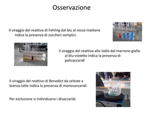 Osservazione
Il viraggio del reattivo di Fehling dal blu al rosso-mattone
indica la presenza di zuccheri semplici.

Il viraggio del reattivo allo iodio dal marrone-giallo
al blu-violetto indica la presenza di
polisaccaridi

Il viraggio del reattivo di Benedict da celeste a
bianco-latte indica la presenza di monosaccaridi.

Per esclusione si individuano i disaccaridi.

 