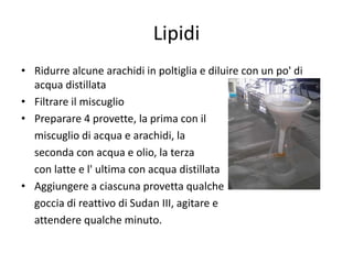 Lipidi
• Ridurre alcune arachidi in poltiglia e diluire con un po' di
acqua distillata
• Filtrare il miscuglio
• Preparare 4 provette, la prima con il
miscuglio di acqua e arachidi, la
seconda con acqua e olio, la terza
con latte e l' ultima con acqua distillata
• Aggiungere a ciascuna provetta qualche
goccia di reattivo di Sudan III, agitare e
attendere qualche minuto.

 