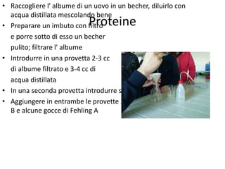 • Raccogliere l' albume di un uovo in un becher, diluirlo con
acqua distillata mescolando bene
• Preparare un imbuto con filtro
e porre sotto di esso un becher
pulito; filtrare l' albume
• Introdurre in una provetta 2-3 cc
di albume filtrato e 3-4 cc di
acqua distillata
• In una seconda provetta introdurre solo acqua distillata
• Aggiungere in entrambe le provette 2 ml di reattivo di Fehling
B e alcune gocce di Fehling A

Proteine

 