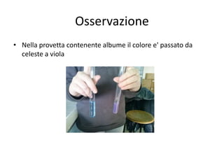 Osservazione
• Nella provetta contenente albume il colore e' passato da
celeste a viola

 
