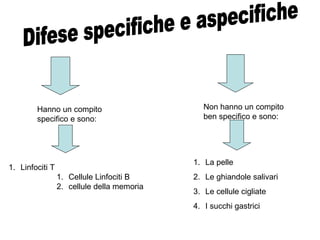 Hanno un compito
specifico e sono:
Non hanno un compito
ben specifico e sono:
1. La pelle
2. Le ghiandole salivari
3. Le cellule cigliate
4. I succhi gastrici
1. Linfociti T
1. Cellule Linfociti B
2. cellule della memoria
 