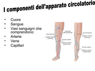 • Cuore
• Sangue
• Vasi sanguigni che
comprendono:
• Arterie
• Vene
• Capillari
 