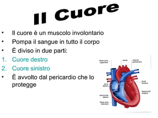 • Il cuore è un muscolo involontario
• Pompa il sangue in tutto il corpo
• È diviso in due parti:
1. Cuore destro
2. Cuore sinistro
• È avvolto dal pericardio che lo
protegge
 