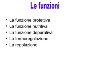 • La funzione protettiva
• La funzione nutritiva
• La funzione depurativa
• La termoregolazione
• La regolazione
 
