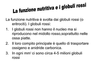 La funzione nutritiva è svolta dai globuli rossi (o
eritrociti). I globuli rossi:
1. I globuli rossi non hanno il nucleo ma si
riproducono nel midollo rosso,soprattutto nelle
ossa piatte.
2. Il loro compito principale è quello di trasportare
ossigeno e anidride carbonica.
3. In ogni mm3
ci sono circa 4-5 milioni globuli
rossi
 