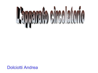 Dolciotti Andrea
 