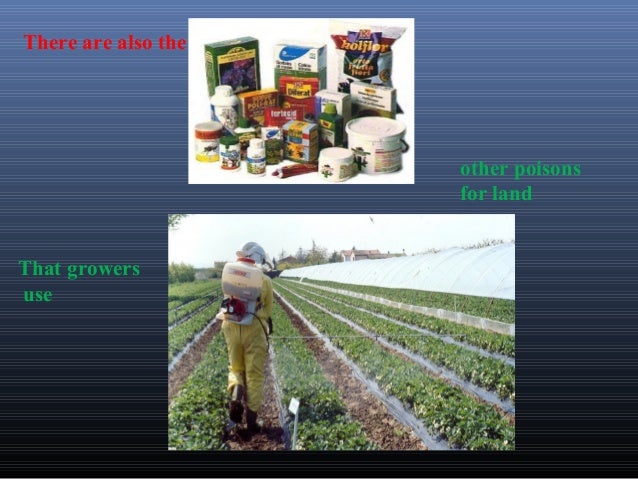 Presentazione1 Inquinamento Inglese