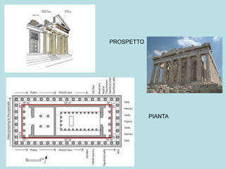 PROSPETTO




            PIANTA
 
