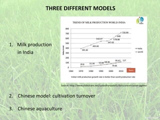 1. Milk production
in India
THREE DIFFERENT MODELS
2. Chinese model: cultivation turnover
3. Chinese aquaculture
Source: http://www.slideshare.net/sudarshanpatel5/dairy-presentation-pgdma
 