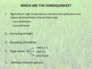 WHICH ARE THE CONSEQUENCES?
1. Agriculture: high temperatures interfere with pollination and
reduce photosynthesis of basic food crops
- corn pollination
- rice pollination
2. Increasing drought
3. Spreading of wildfires
4. Heat waves
1988 U.S.A.
2003 U.E.
2010 Russia
5. Melting mountain glaciers
 