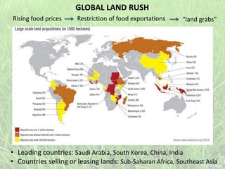GLOBAL LAND RUSH
Rising food prices Restriction of food exportations “land grabs”
• Leading countries: Saudi Arabia, South Korea, China, India
• Countries selling or leasing lands: Sub-Saharan Africa, Southeast Asia
 