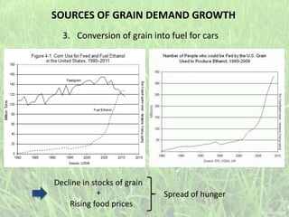 3. Conversion of grain into fuel for cars
SOURCES OF GRAIN DEMAND GROWTH
Decline in stocks of grain
Rising food prices
+ Spread of hunger
 