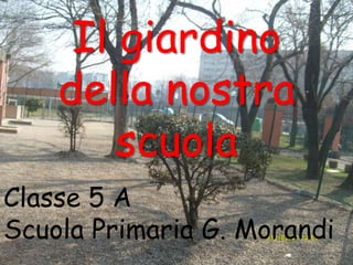 Il giardino
della nostra
scuola
Classe 5 A
Scuola Primaria G. Morandi

 