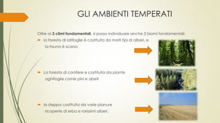 GLI AMBIENTI TEMPERATI 
Oltre ai 3 climi fondamentali, si posso individuare anche 3 biomi fondamentali: 
 la foresta di latifoglie è costituita da molti tipi di alberi, e 
la fauna è scarsa 
 La foresta di conifere e costituita da piante 
aghifoglie come pini e abeti 
 la steppa costituita da varie pianure 
ricoperte di erba e rarissimi alberi. 
 