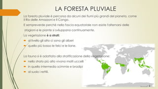 LA FORESTA PLUVIALE 
La foresta pluviale è percorsa da alcuni dei fiumi più grandi del pianeta, come 
il Rio delle Amazzoni e Il Congo. 
E sempreverde perchè nella fascia equatoriale non esiste l'alternarsi delle 
stagioni e le piante si sviluppano continuamente. 
La vegetazione è a strati: 
 al livello gli alto ci sono gli alberi 
 quello più basso le felci e le liane. 
La fauna si è adattata alla stratificazione della vegetazione: 
 nello strato più alto vivono molti uccelli 
 in quello intermedio scimmie e bradipi 
 al suolo i rettili. 
 