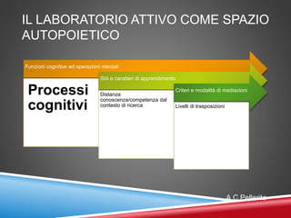IL LABORATORIO ATTIVO COME SPAZIO
AUTOPOIETICO
Funzioni cognitive ed operazioni mentali
Processi
cognitivi
Stili e caratteri di apprendimento
Distanza
conoscenza/competenza dal
contesto di ricerca
Criteri e modalità di mediazioni
Livelli di trasposizioni
A.C.Pellerito
 
