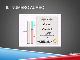 IL NUMERO AUREO
A.C.Pellerito
 