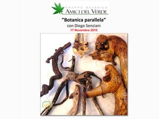 ”Botanica parallela”
con Diego Senziani
17 Novembre 2015
 