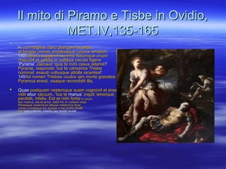Il mito di Piramo e Tisbe in Ovidio,Il mito di Piramo e Tisbe in Ovidio,
MET.IV,135-165MET.IV,135-165

PPercutitercutit indignosindignos claroclaro plangoreplangore lacertoslacertos,,
etet laniatalaniata comascomas amplexaqueamplexaque corpuscorpus amatumamatum
140140vulneravulnera supplevitsupplevit lacrimislacrimis fletumquefletumque cruoricruori
miscuitmiscuit++ etet gelidisgelidis inin vultibusvultibus osculaoscula figensfigens
‘Pyrame’‘Pyrame’ clamavitclamavit ‘‘quisquis tete mihimihi casuscasus ademitademit??
PyramePyrame,, responderesponde:: tuatua tete carissimacarissima ThisbeThisbe
nominatnominat:: exaudiexaudi vultusquevultusque attolleattolle iacentesiacentes!’!’
145145AdAd nomennomen ThisbesThisbes oculosoculos iamiam mortemorte gravatosgravatos
PyramusPyramus erexiterexit,, visaquevisaque recondiditrecondidit illailla..
 QuaeQuae postquampostquam vestemquevestemque suamsuam cognovitcognovit etet enseense
viditvidit eburebur vacuumvacuum, ‘, ‘tuatua tete manus’manus’ inquitinquit ‘‘amorqueamorque
perdiditperdidit,, infelixinfelix.. EstEst etet mihimihi fortisfortis inin unumunum
hochoc manusmanus,, estest etet amoramor:: dabitdabit hichic inin vulneravulnera viresvires..
PersequarPersequar exstinctumexstinctum letiqueletique miserrimamiserrima dicardicar
causacausa comesquecomesque tuitui;; quiquequique aa meme mortemorte revellirevelli
heuheu sola poteras, poteris nec morte revelli.sola poteras, poteris nec morte revelli.
 