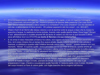 IL DRAMMA DI NARCISO IN QUATTRO ATTI (CONTINUA)IL DRAMMA DI NARCISO IN QUATTRO ATTI (CONTINUA)
 3)3) La consapevolezza dell’ingannoLa consapevolezza dell’inganno : “Sono io codesto! L’ho capito e non mi inganna l’immagine.: “Sono io codesto! L’ho capito e non mi inganna l’immagine.
Sono infiammato dal’amore per me , muovo e produco le fiamme della passione! Che cosa dovreiSono infiammato dal’amore per me , muovo e produco le fiamme della passione! Che cosa dovrei
fare? Dovrei essere richiesto o devo essere io a richiedere? Che cosa chiederò? Ciò che desidero èfare? Dovrei essere richiesto o devo essere io a richiedere? Che cosa chiederò? Ciò che desidero è
con me . L’abbondanza mi fece povero . Oh potessi separarmi dal mio corpo!....(vv. 463-467)con me . L’abbondanza mi fece povero . Oh potessi separarmi dal mio corpo!....(vv. 463-467)
 Disse e fuori di sé ritornò alla stessa visione e con le lacrime turbò le acque e dopo che fu mosso loDisse e fuori di sé ritornò alla stessa visione e con le lacrime turbò le acque e dopo che fu mosso lo
specchio d’acqua, fu restituita la forma torbida. Avendo visto quella sparire disse: Dove fuggi? Rimanispecchio d’acqua, fu restituita la forma torbida. Avendo visto quella sparire disse: Dove fuggi? Rimani
e non abbandonarmi o crudele amante! Mi sia lecito di vedere ciò che non si può toccare e offriree non abbandonarmi o crudele amante! Mi sia lecito di vedere ciò che non si può toccare e offrire
esca all’infeliceesca all’infelice furorfuror (vv.474-479).(vv.474-479).La morte di Narciso e la sua metamorfosi.La morte di Narciso e la sua metamorfosi.
 E né ormai il rosso mescolato al bianco ha colore, né il vigore e le forze che un tempo piacevano adE né ormai il rosso mescolato al bianco ha colore, né il vigore e le forze che un tempo piacevano ad
Eco, né il corpo rimane che un tempo Eco aveva amato. Quella tuttavia quando lo vide adirata eEco, né il corpo rimane che un tempo Eco aveva amato. Quella tuttavia quando lo vide adirata e
memore, si addolorò e quante volte l’infelice fanciullo aveva detto:” Ahimè “, questa ripeteva con vocimemore, si addolorò e quante volte l’infelice fanciullo aveva detto:” Ahimè “, questa ripeteva con voci
risonanti, “Ahimè”. E quando quello aveva percosso con le sue mani le braccia, questa anche glirisonanti, “Ahimè”. E quando quello aveva percosso con le sue mani le braccia, questa anche gli
rimandava il medesimo suono del colpo rumoroso.L’ultima voce che guardava verso la solita acquarimandava il medesimo suono del colpo rumoroso.L’ultima voce che guardava verso la solita acqua
fu questa:”Addio , o caro fanciullo!”E altrettanti voci rimandò il luogo edetto:”Addio”,, “Addio”, risposefu questa:”Addio , o caro fanciullo!”E altrettanti voci rimandò il luogo edetto:”Addio”,, “Addio”, rispose
Eco. Quello nascose lo stanco capo nell’erba verde e la notte chiuse gli occhi che fissavano laEco. Quello nascose lo stanco capo nell’erba verde e la notte chiuse gli occhi che fissavano la
bellezza del signore. Ed anche allora, dopo che fu accolto nelle sedi degli inferi guardava la suabellezza del signore. Ed anche allora, dopo che fu accolto nelle sedi degli inferi guardava la sua
immagine nella palude Stigia . Piansero le sorelle Naiadi, tagliarono i loro capelli e li deposeroimmagine nella palude Stigia . Piansero le sorelle Naiadi, tagliarono i loro capelli e li deposero
davanti al fratello in segno di lutto, piansero le Driadi, Eco risponde al suono dei colpi e giàdavanti al fratello in segno di lutto, piansero le Driadi, Eco risponde al suono dei colpi e già
preparavano il rogo, il feretro e scuotevano quelle fiaccole: in nessuna parte c’era il corpo. Al postopreparavano il rogo, il feretro e scuotevano quelle fiaccole: in nessuna parte c’era il corpo. Al posto
del corpo trovano un fiore di colore giallo ,con foglie bianche che lo cingono tutt’intornodel corpo trovano un fiore di colore giallo ,con foglie bianche che lo cingono tutt’intorno
 