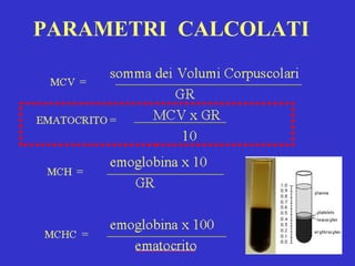PARAMETRI  CALCOLATI 