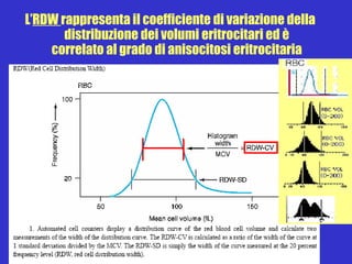 L’ RDW  rappresenta il coefficiente di variazione della distribuzione dei volumi eritrocitari ed è correlato al grado di anisocitosi eritrocitaria 