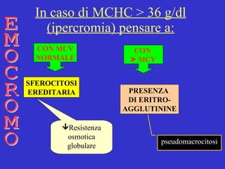 In caso di MCHC > 36 g/dl (ipercromia) pensare a: SFEROCITOSI EREDITARIA PRESENZA  DI ERITRO- AGGLUTININE EMOCROMO CON MCV NORMALE CON  >  MCV Resistenza osmotica globulare pseudomacrocitosi 