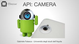 API: CAMERA 
Gabriele Falasca - Università degli studi dell’Aquila 
 