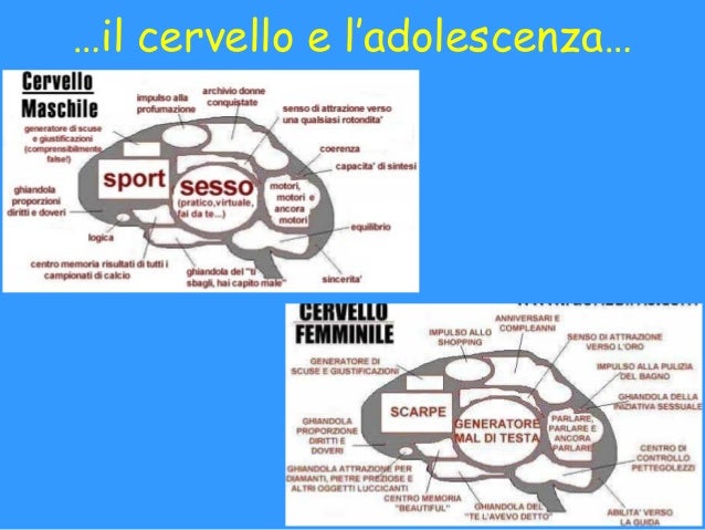 Aumento di prezzo dei petti Izhevsk