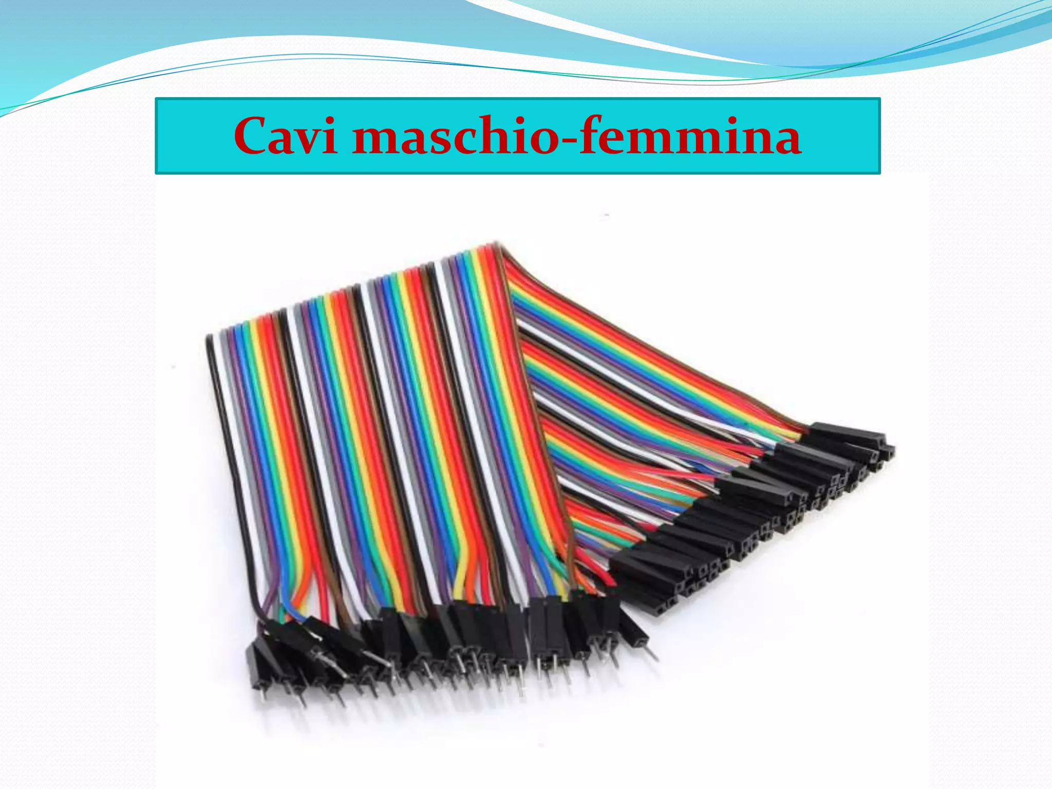 Cavi maschio-femmina
 