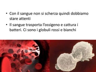 • Con il sangue non si scherza quindi dobbiamo
stare attenti
• Il sangue trasporta l’ossigeno e cattura i
batteri. Ci sono...