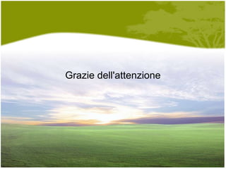 Grazie dell'attenzione 