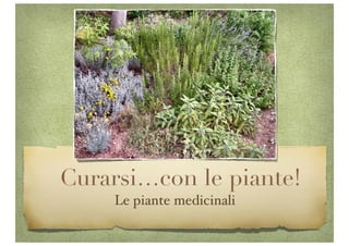 Curarsi…con le piante!
Le piante medicinali
 