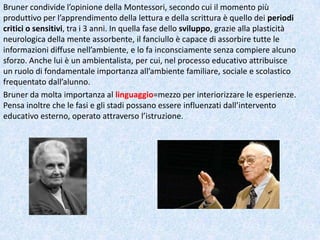 Bruner condivide l’opinione della Montessori, secondo cui il momento più
produttivo per l’apprendimento della lettura e della scrittura è quello dei periodi
critici o sensitivi, tra i 3 anni. In quella fase dello sviluppo, grazie alla plasticità
neurologica della mente assorbente, il fanciullo è capace di assorbire tutte le
informazioni diffuse nell’ambiente, e lo fa inconsciamente senza compiere alcuno
sforzo. Anche lui è un ambientalista, per cui, nel processo educativo attribuisce
un ruolo di fondamentale importanza all’ambiente familiare, sociale e scolastico
frequentato dall’alunno.
Bruner da molta importanza al linguaggio=mezzo per interiorizzare le esperienze.
Pensa inoltre che le fasi e gli stadi possano essere influenzati dall’intervento
educativo esterno, operato attraverso l’istruzione.
 