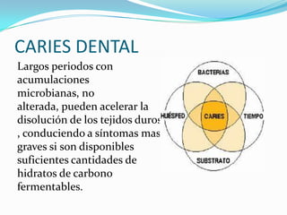 CARIES DENTAL
Largos periodos con
acumulaciones
microbianas, no
alterada, pueden acelerar la
disolución de los tejidos duros
, conduciendo a síntomas mas
graves si son disponibles
suficientes cantidades de
hidratos de carbono
fermentables.

 