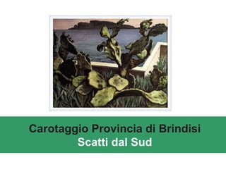 Carotaggio Provincia di Brindisi   Scatti dal Sud 