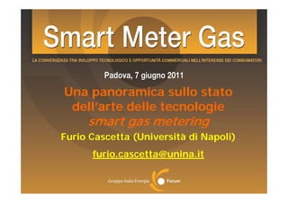 Una panoramica sullo stato
 dell’arte d ll tecnologie
 d ll’     delle     l i
     smart gas metering
Furio Cascetta (Università di Napoli)
      furio.cascetta@unina.it
 