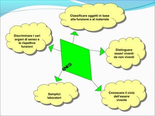 Classificare oggetti in base 
alla funzione e al materiale 
SC IENZE 
Discriminare i vari 
organi di senso e 
Discriminare i vari 
organi di senso e 
le rispettive 
funzioni 
le rispettive 
funzioni 
Distinguere 
esseri viventi 
da non viventi 
Distinguere 
esseri viventi 
da non viventi 
Semplici 
laboratori 
Semplici 
laboratori 
Conoscere il ciclo 
Conoscere il ciclo 
dell’essere 
vivente 
dell’essere 
vivente 
Classificare oggetti in base 
alla funzione e al materiale 
 