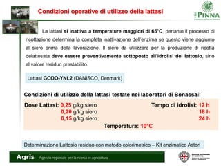 Condizioni operative di utilizzo della lattasi
Lattasi GODO-YNL2 (DANISCO, Denmark)
Determinazione Lattosio residuo con metodo colorimetrico – Kit enzimatico Astori
La lattasi si inattiva a temperature maggiori di 65°C, pertanto il processo di
ricottazione determina la completa inattivazione dell’enzima se questo viene aggiunto
al siero prima della lavorazione. Il siero da utilizzare per la produzione di ricotta
delattosata deve essere preventivamente sottoposto all’idrolisi del lattosio, sino
al valore residuo prestabilito.
Dose Lattasi: 0,25 g/kg siero
0,20 g/kg siero
0,15 g/kg siero
Tempo di idrolisi: 12 h
18 h
24 h
Temperatura: 10°C
Condizioni di utilizzo della lattasi testate nei laboratori di Bonassai:
 