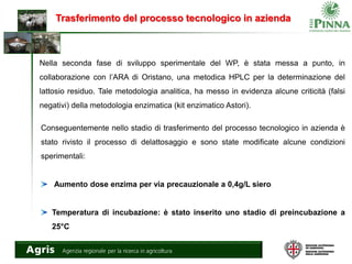 Trasferimento del processo tecnologico in azienda
Nella seconda fase di sviluppo sperimentale del WP, è stata messa a punto, in
collaborazione con l’ARA di Oristano, una metodica HPLC per la determinazione del
lattosio residuo. Tale metodologia analitica, ha messo in evidenza alcune criticità (falsi
negativi) della metodologia enzimatica (kit enzimatico Astori).
Conseguentemente nello stadio di trasferimento del processo tecnologico in azienda è
stato rivisto il processo di delattosaggio e sono state modificate alcune condizioni
sperimentali:
Aumento dose enzima per via precauzionale a 0,4g/L siero
Temperatura di incubazione: è stato inserito uno stadio di preincubazione a
25°C
 