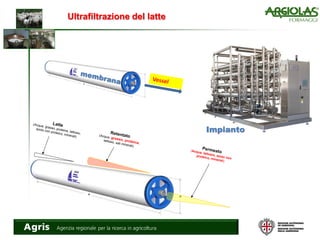 Ultrafiltrazione del latte
Impianto
Permeato(Acqua, lattosio, azoto non
proteico, minerali)
Retentato(Acqua, grasso, proteina,
lattosio, sali minerali)
Latte(Acqua, grasso, proteine, lattosio,
azoto non proteico, minerali)
 