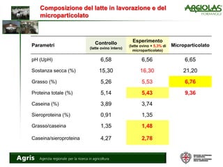 Composizione del latte in lavorazione e del
microparticolato
Parametri Controllo
(latte ovino intero)
Esperimento
(latte ovino + 5,3% di
microparticolato)
Microparticolato
pH (UpH) 6,58 6,56 6,65
Sostanza secca (%) 15,30 16,30 21,20
Grasso (%) 5,26 5,53 6,76
Proteina totale (%) 5,14 5,43 9,36
Caseina (%) 3,89 3,74
Sieroproteina (%) 0,91 1,35
Grasso/caseina 1,35 1,48
Caseina/sieroproteina 4,27 2,78
 