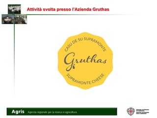 Attività svolta presso l’Azienda Gruthas
 