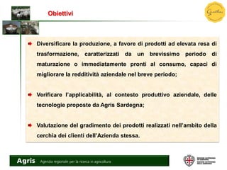 Obiettivi
Diversificare la produzione, a favore di prodotti ad elevata resa di
trasformazione, caratterizzati da un brevissimo periodo di
maturazione o immediatamente pronti al consumo, capaci di
migliorare la redditività aziendale nel breve periodo;
Verificare l’applicabilità, al contesto produttivo aziendale, delle
tecnologie proposte da Agris Sardegna;
Valutazione del gradimento dei prodotti realizzati nell’ambito della
cerchia dei clienti dell’Azienda stessa.
 