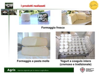 I prodotti realizzati
Formaggio fresco
Formaggio a pasta molle Yogurt a coagulo intero
(cremoso e tradizionale)
 