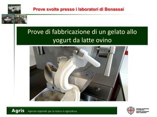 Prove svolte presso i laboratori di Bonassai
Prove di fabbricazione di un gelato allo
yogurt da latte ovino
 