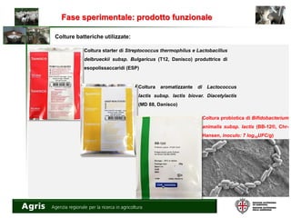 Fase sperimentale: prodotto funzionale
Colture batteriche utilizzate:
Coltura aromatizzante di Lactococcus
lactis subsp. lactis biovar. Diacetylactis
(MD 88, Danisco)
Coltura probiotica di Bifidobacterium
animalis subsp. lactis (BB-12®, Chr-
Hansen, inoculo: 7 log10UFC/g)
Coltura starter di Streptococcus thermophilus e Lactobacillus
delbrueckii subsp. Bulgaricus (T12, Danisco) produttrice di
esopolissaccaridi (ESP)
 