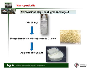 Macroparticelle
Olio di alga
Veicolazione degli acidi grassi omega-3
Incapsulazione in macroparticelle (1-2 mm)
Aggiunta allo yogurt
 