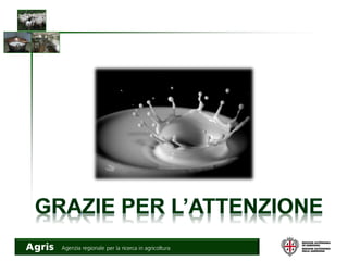 Contaminazioni: presentazione dei risultati della sperimentazione e delle attività di trasferimento tecnologico (Giacomo Lai)