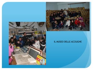 IL MUSEO DELLE ACCIUGHE 
 